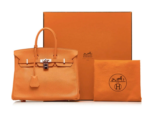 HERMÈS BIRKIN 25 arancione